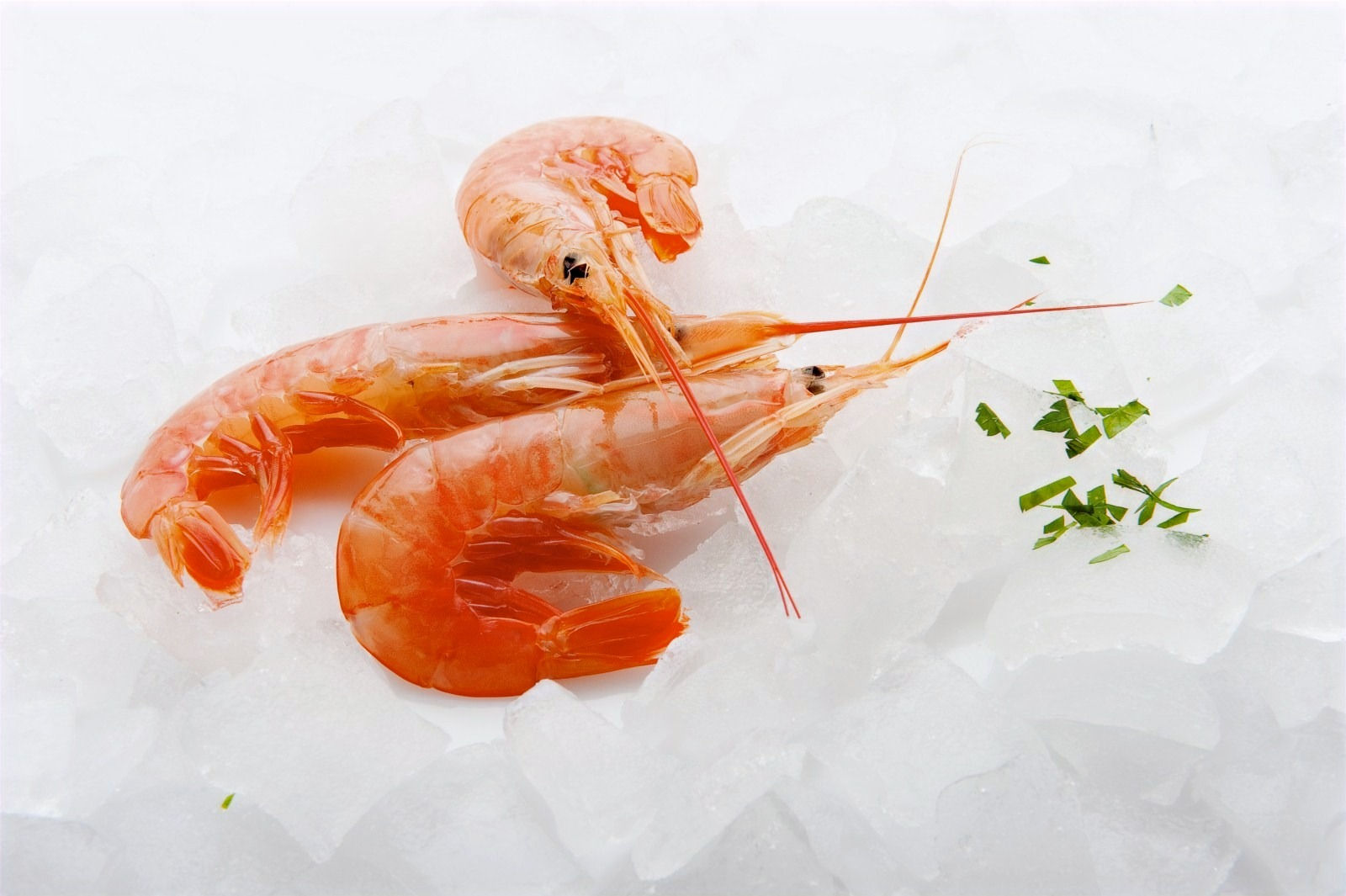 Langostino Entero Nº 1 caja de 2Kg