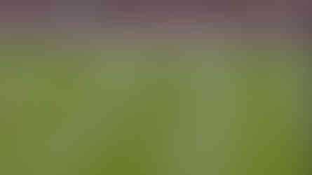 Manchester City's positioning