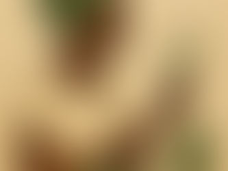 Yoruba Herbalism: Healing the Body and Spirit Through Nature