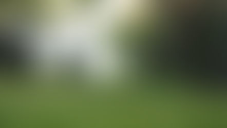 5 Grounding Practices for Stepmoms on Hard Days