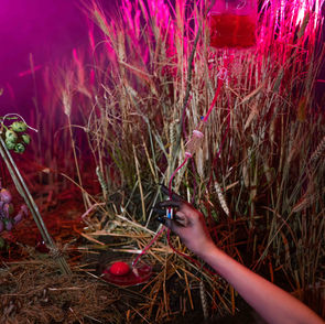 The Horn of Plenty - Atelier Pamfilie LR-1.jpg