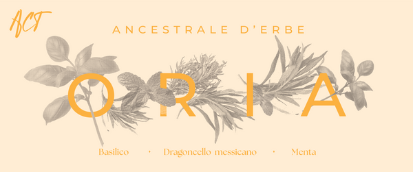 Ancestrale names_Tavola disegno 1 copia.png