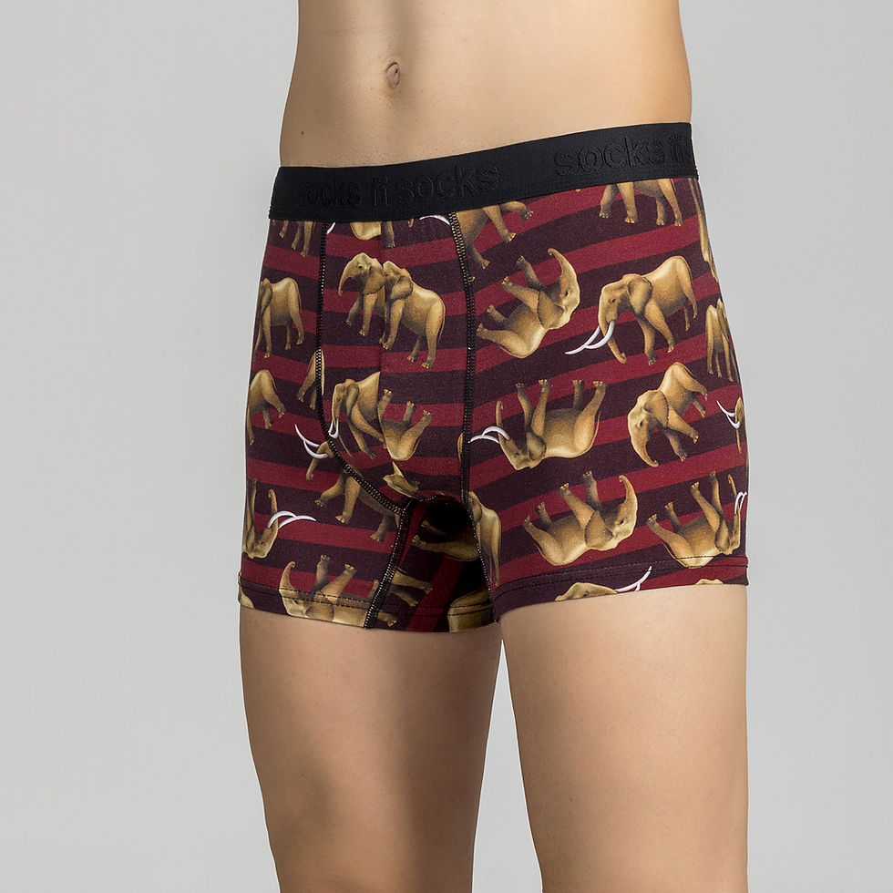 Miniatyrbilde: Men's Elephant Boxer Brief