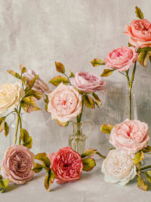 3 Steps to Keep Your Sugar Flowers Beautiful