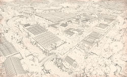 IMG_1227