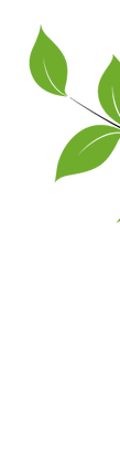 branche-seule_edited.png