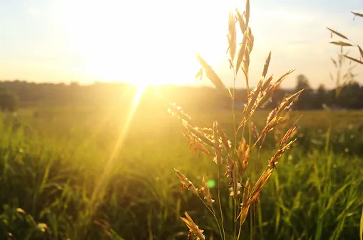 Le Soleil, activité 1: Les rayons lumineux