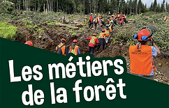 metiers_foret_2-01.png
