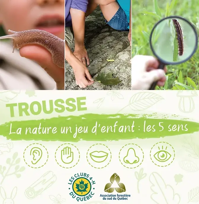 Trousse nature | La nature un jeu d'enfant : les 5 sens
