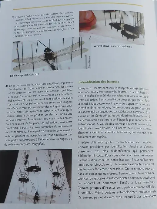 Miniature : Feuillet Collections