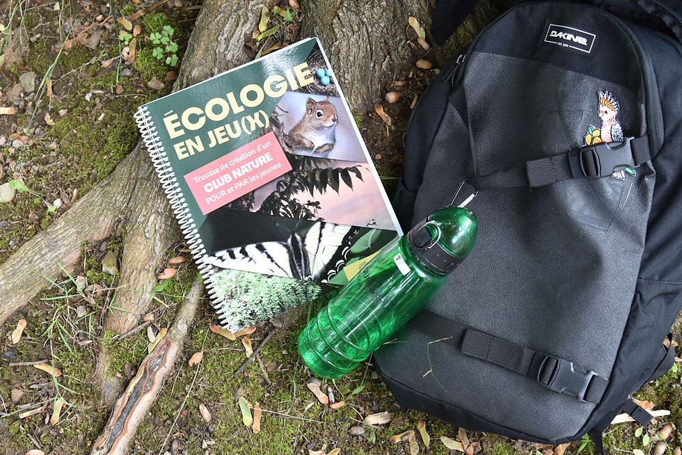 Miniature : Écologie en jeu(x) - Trousse de création d'un club nature