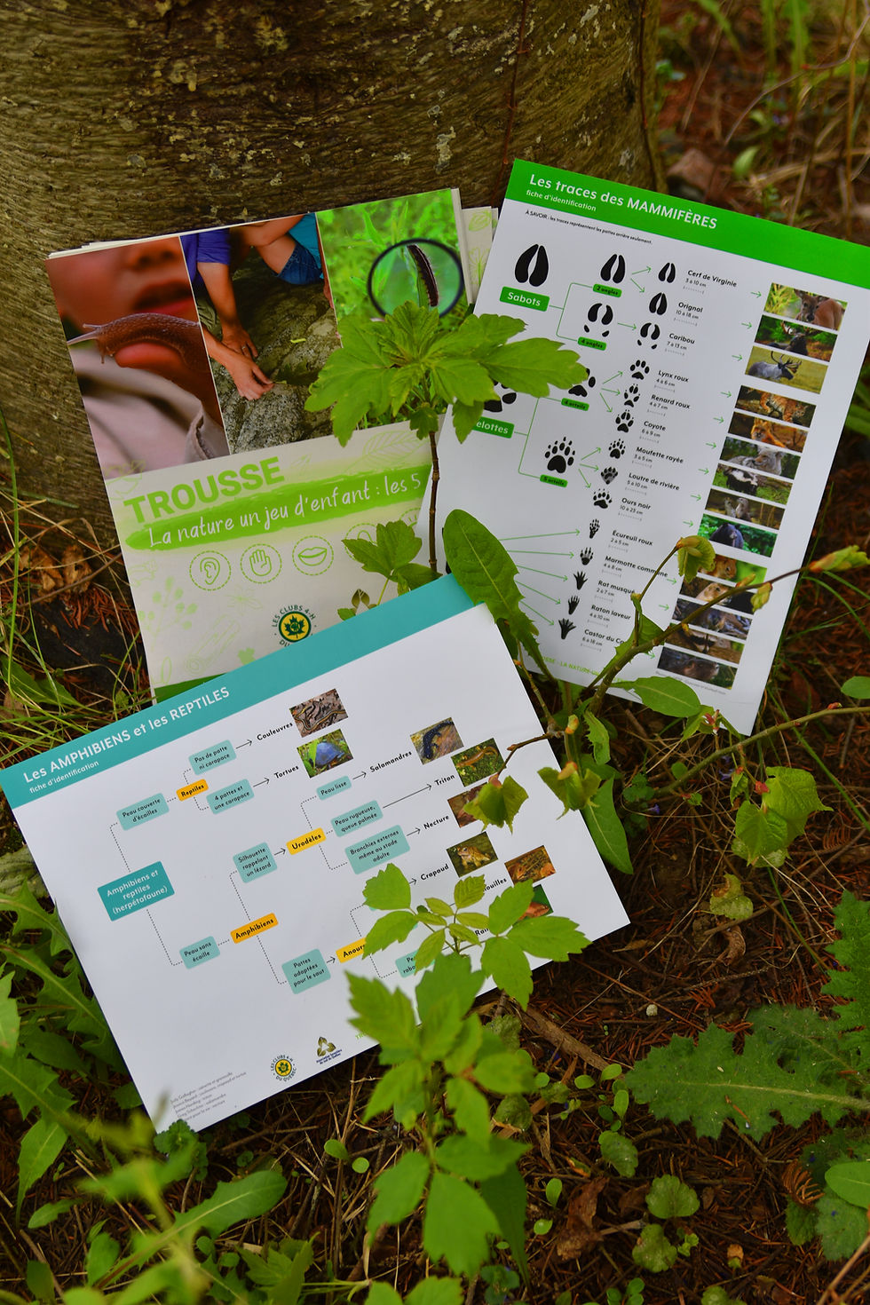 Miniature : Trousse nature | La nature un jeu d'enfant : les 5 sens