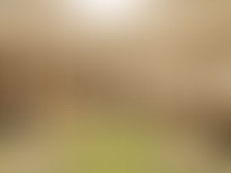 CfP: Why the South still lags behind? Toward an economic history of the Italian regional divide. Palermo, October 11-12, 2024