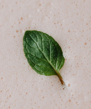 Barberry Clover Club-1776.jpg