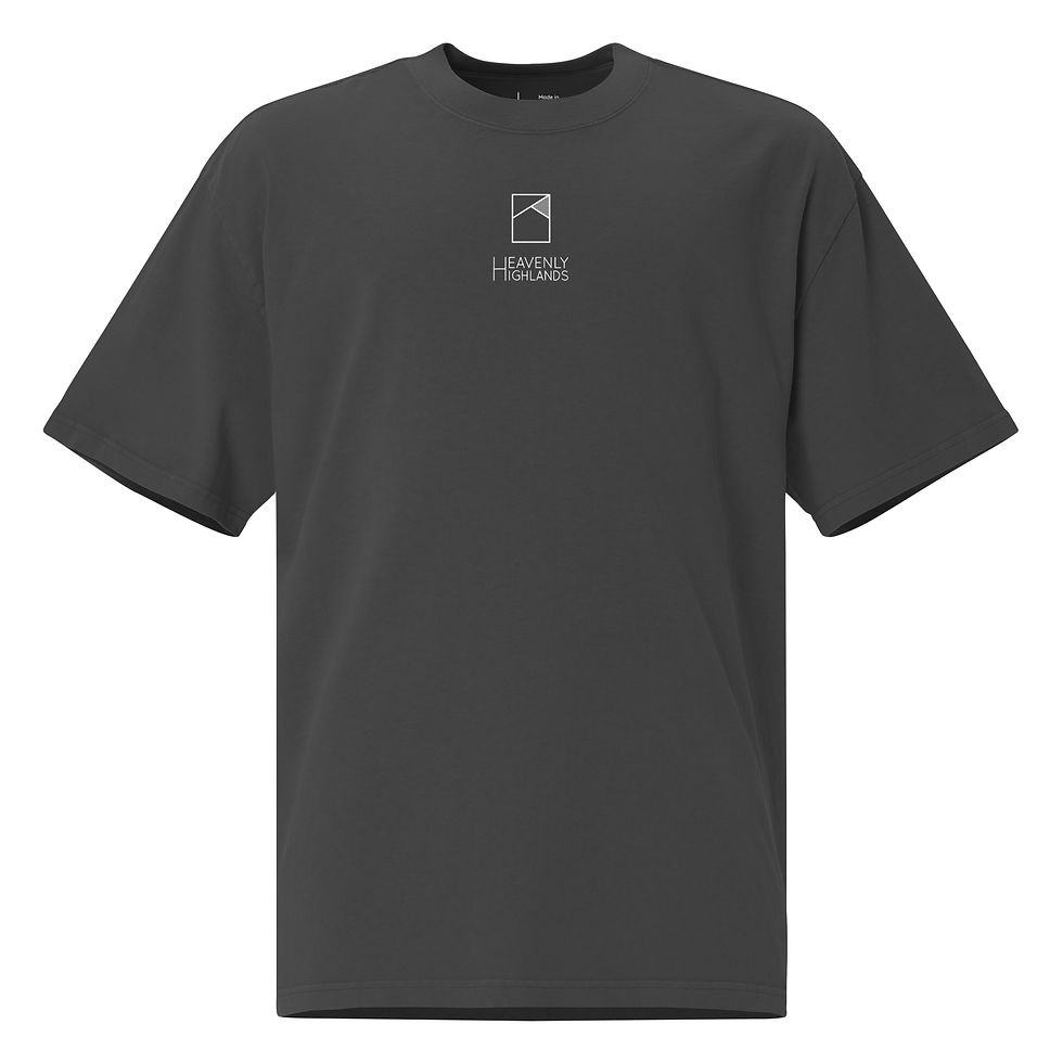 Thumbnail: Oversized Highlands faded t-shirt