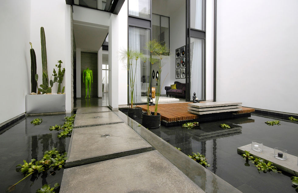 Modern home interior with water feature and green plants CASA AMORE Casalvolone Arquitectura