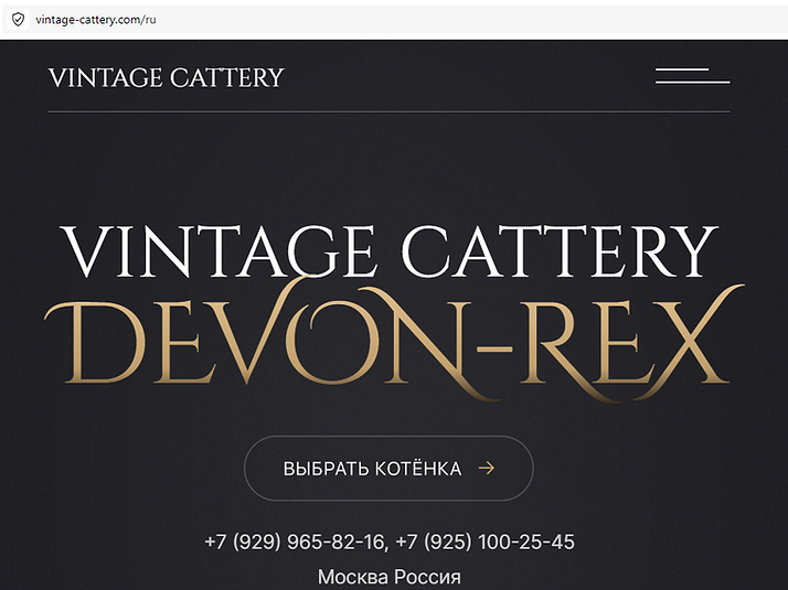 поддельный сайт РФ 2.png