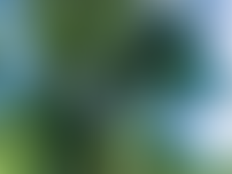 A perfectly blue sky