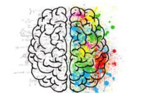 Why You Can't Focus After Scrolling (The Evidence on Brainrot)