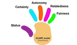 The SCARF Model Explained: A Guide to Brain-Based Collaboration