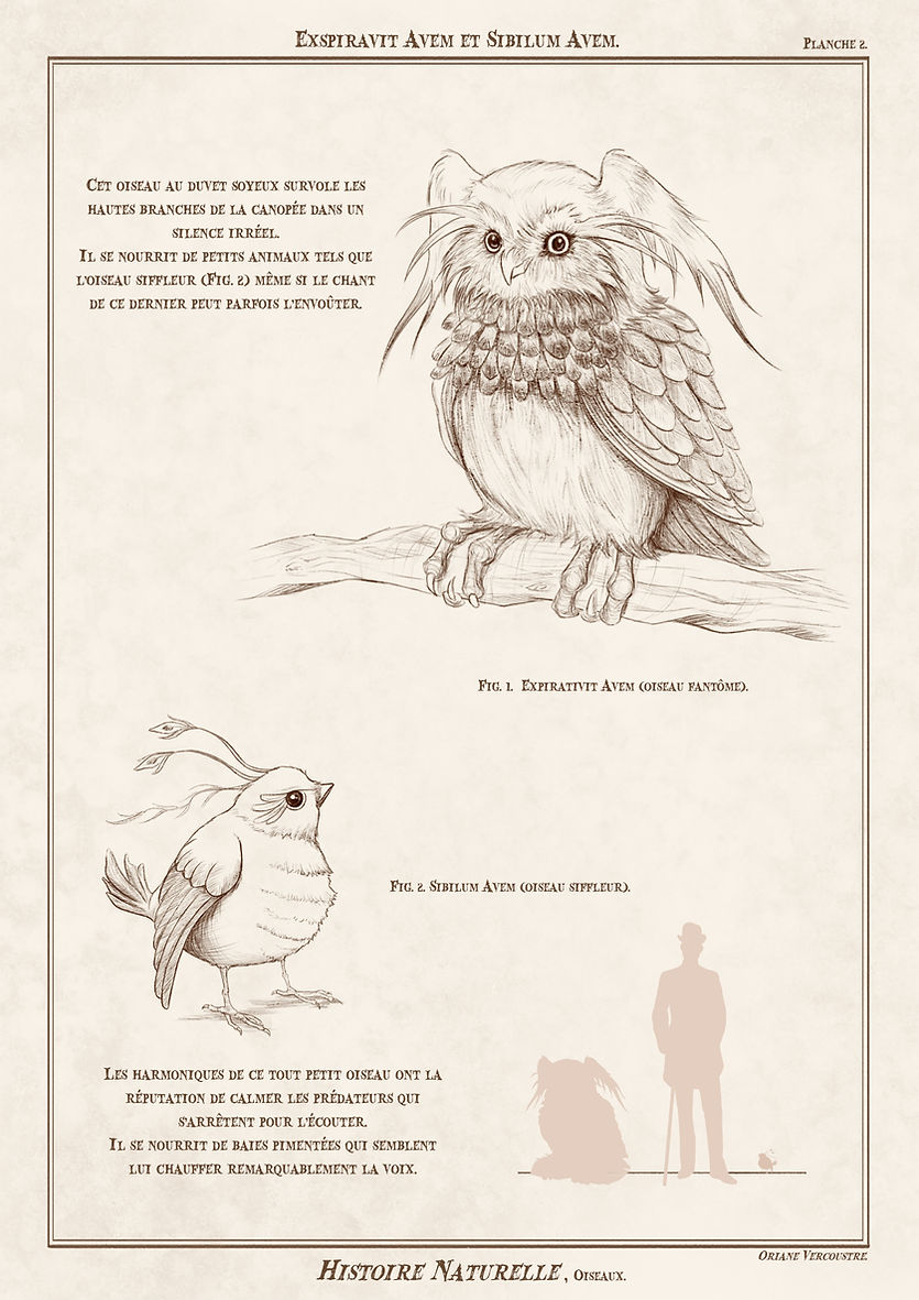 vercoustre_oriane_planche2sur6.jpg