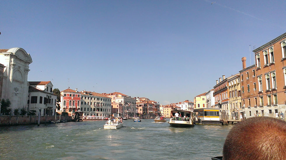 IMAG1642.jpg