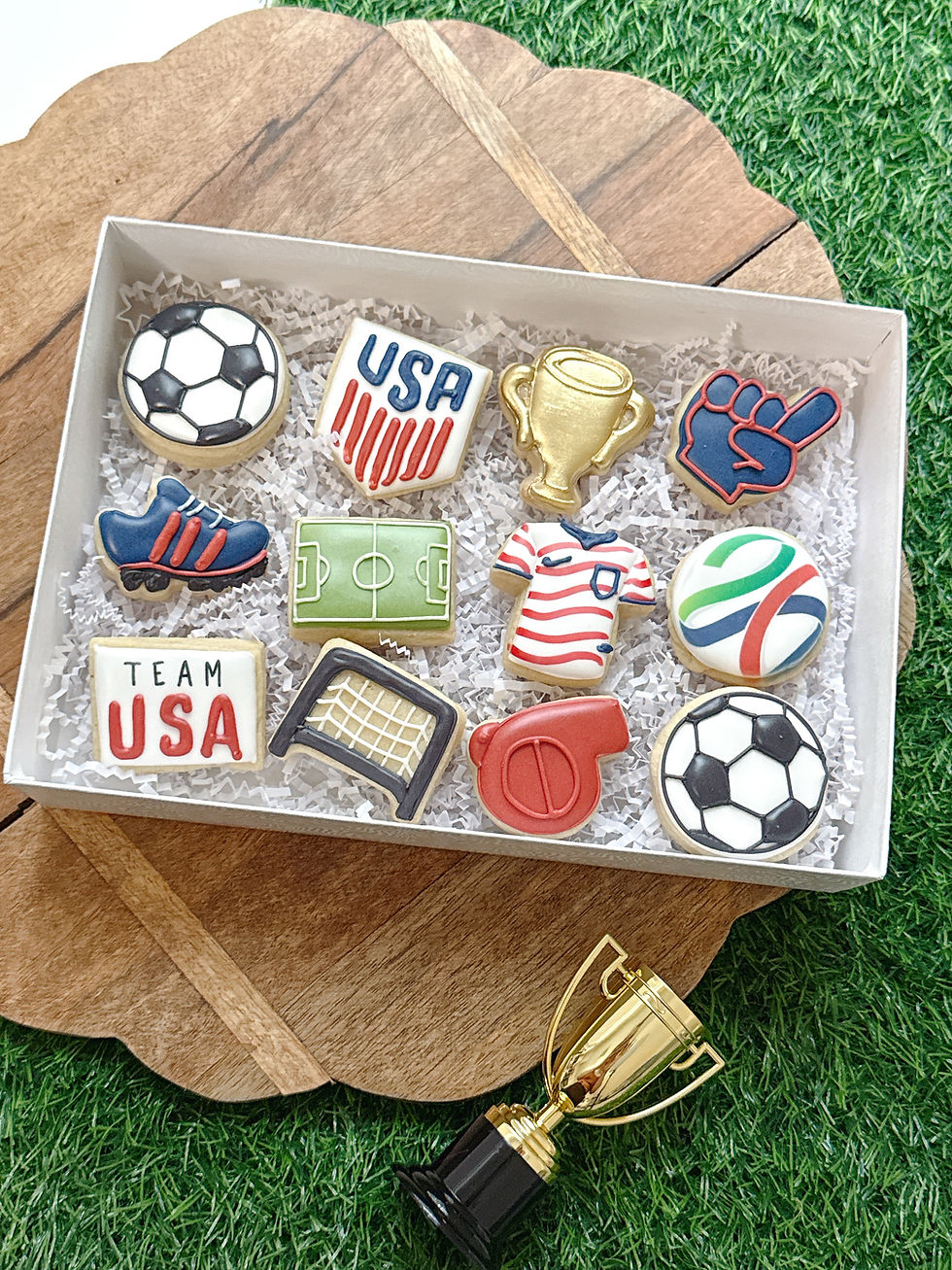 Team USA Mini Box