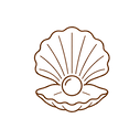 shell_transparent.png