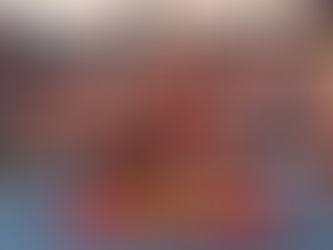 Seleção Catarinense de Taekwondo treina em Itajaí