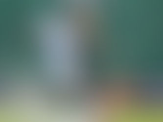 Com muita chuva, grande público e erro de arbitragem, Avai vence o primeiro clássico do ano por 2 a 0