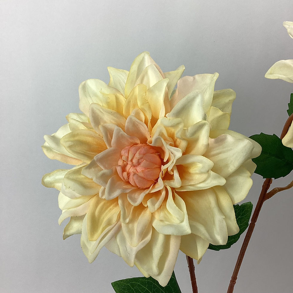 Thumbnail: close up of large dahlia flower head