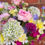 Thumbnail: Flower bouquet
