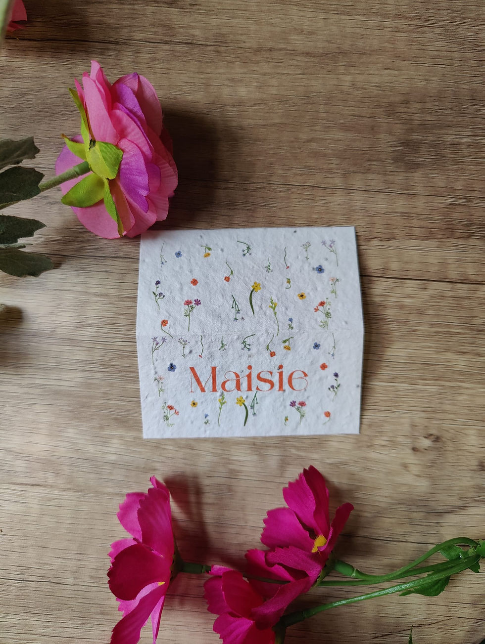 Seed paper place card
