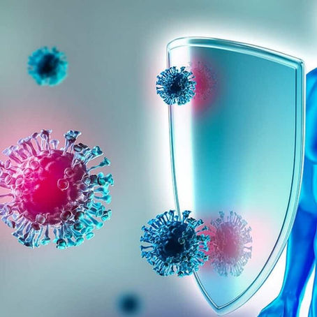 Entre air froid et sol vivant : leçons de défense en automne