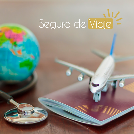 HAMSA INSURANCE (15).png