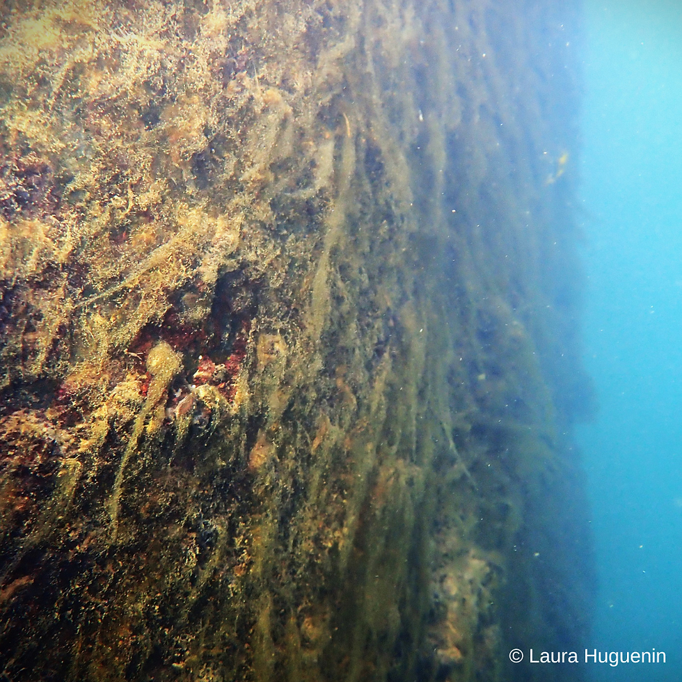 photo-prise-de-vue-sous-marine.png