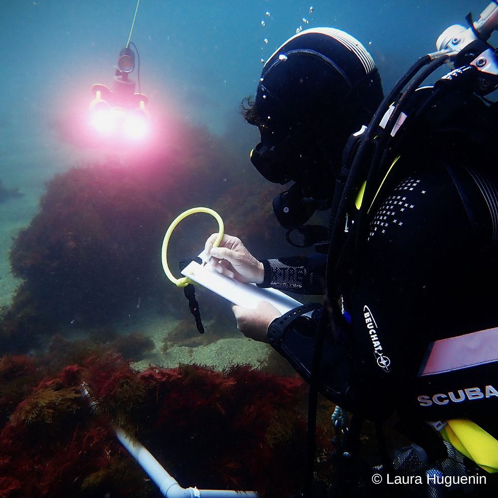 photo-prise-de-vue-sous-marine.png