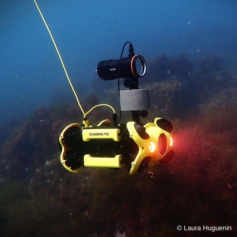photo-prise-de-vue-sous-marine.png