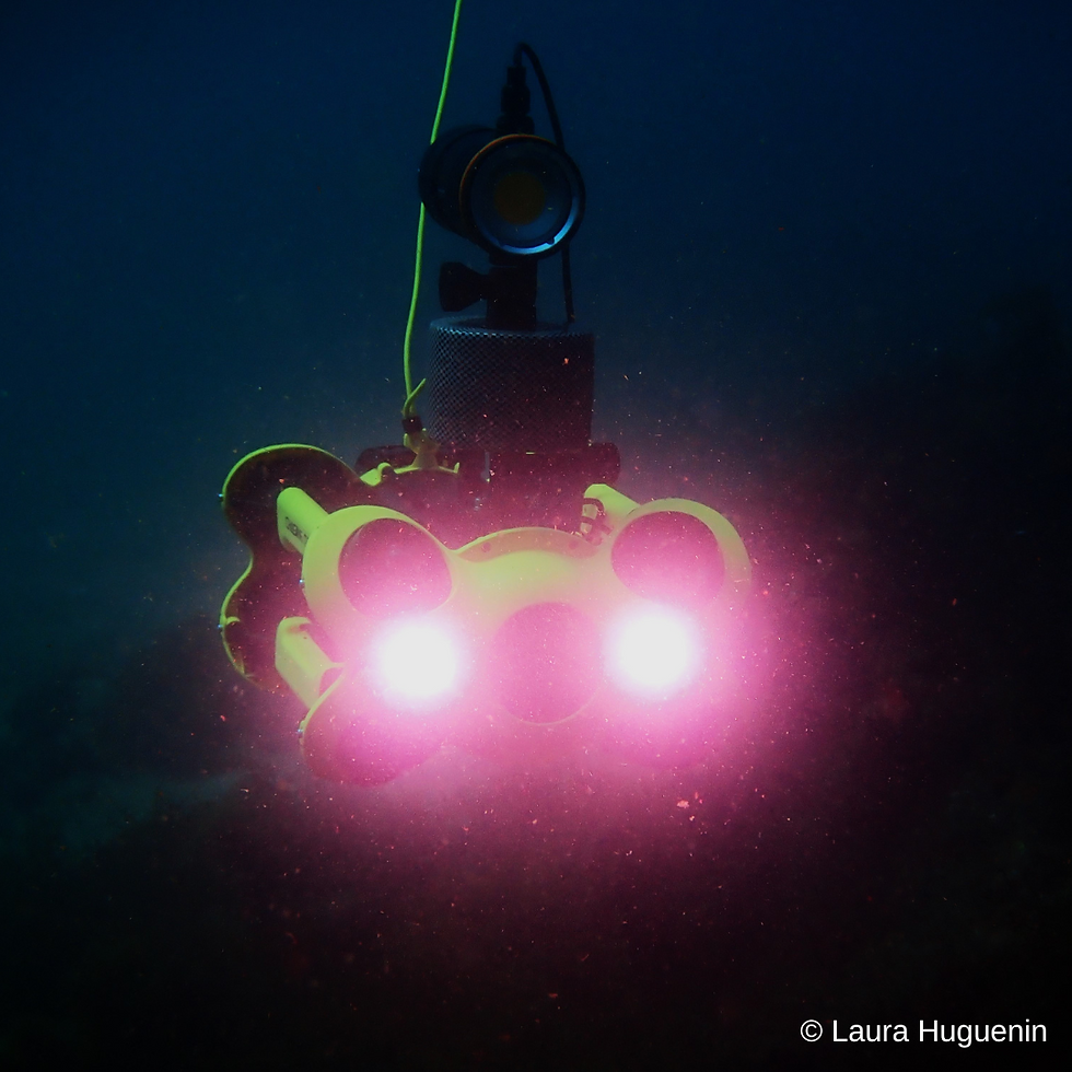 photo-prise-de-vue-sous-marine.png