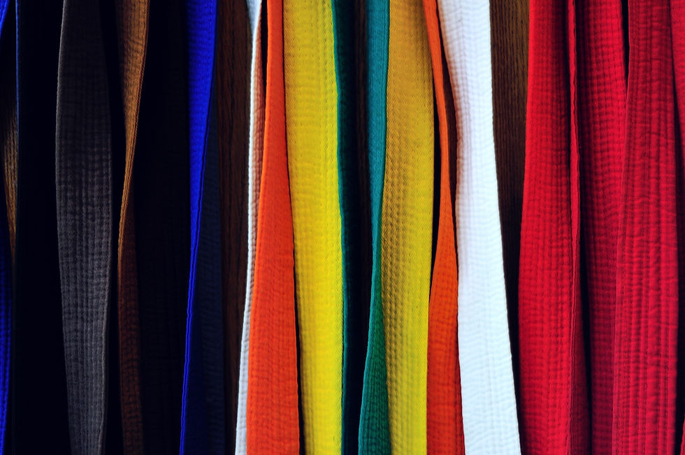 Colored student belts in the karate-do school..jpg