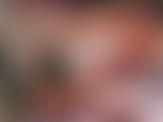 Wet Market in Hong Kong