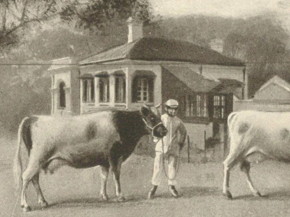Pok Fu Lam Farm