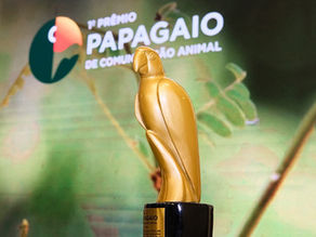 Prêmio Papagaio prorroga inscrições e amplia prazo para participação de jornalistas e comunicadores