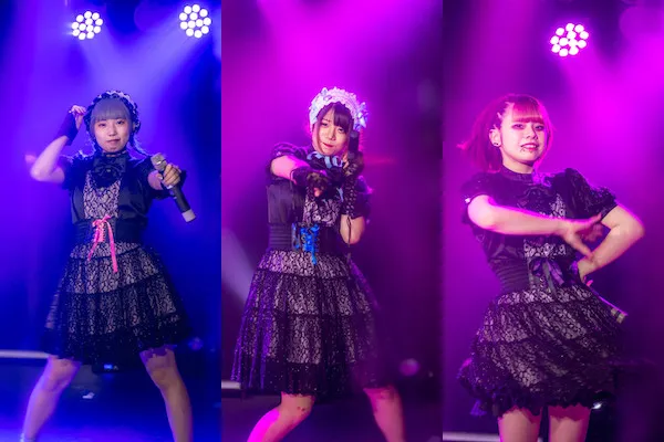 14.アイドル.webp