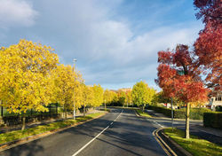 Brady & McCarthy Estate Agents