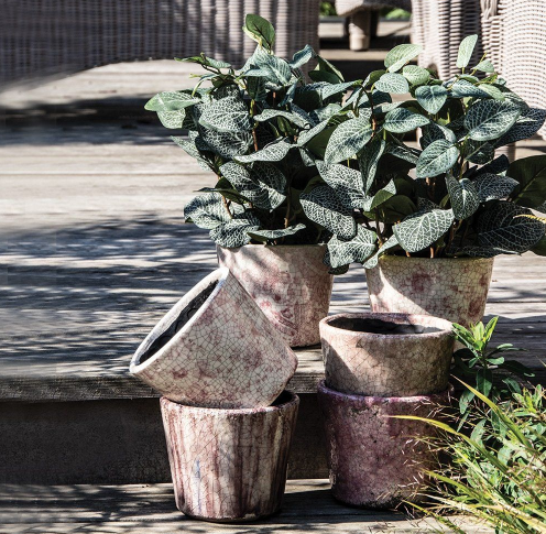 Pink Pots