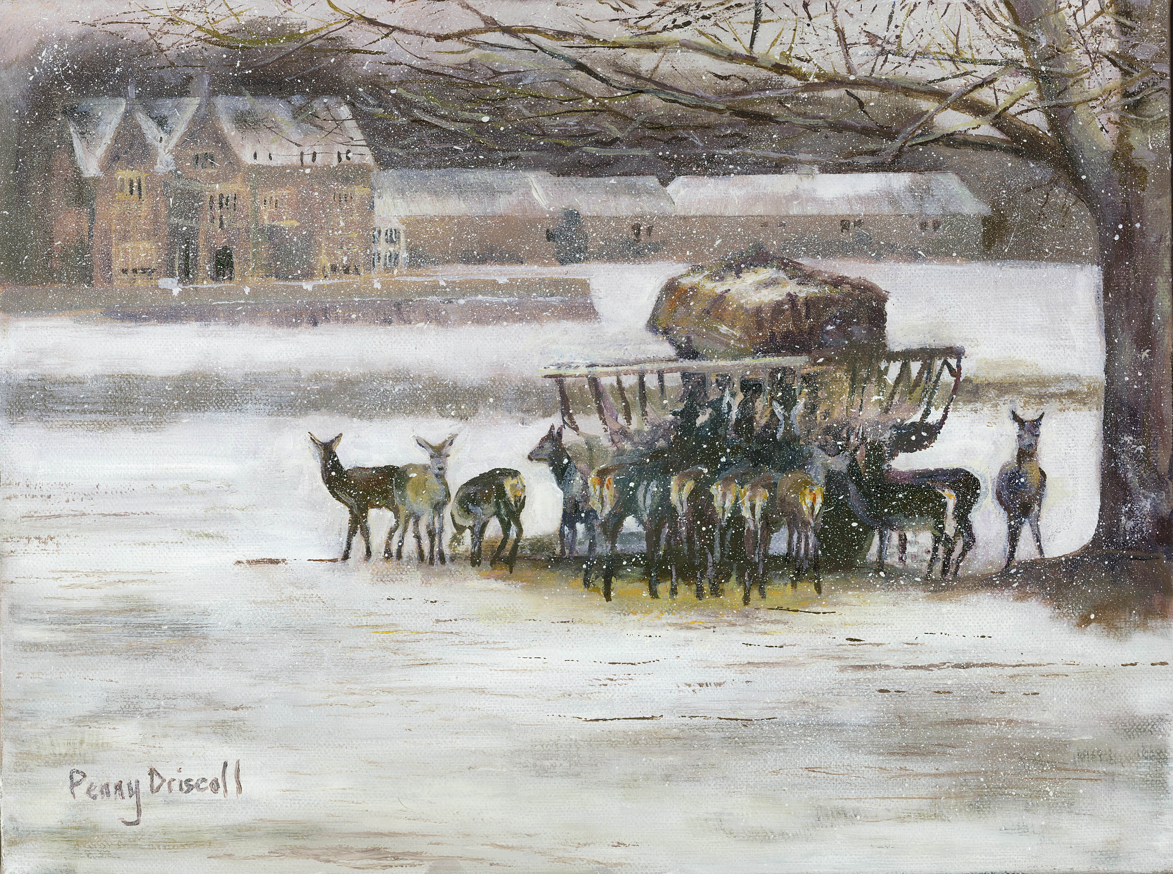 Braving The Blizzard - Penny Driscoll