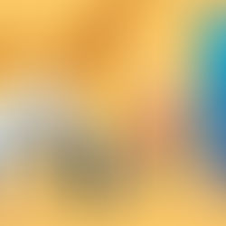 Amazon Japan ed Amazon Australia: come approcciare nuovi mercati nel 2025