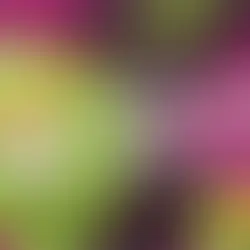 Amazon FBA: cos'è e come funziona la Logistica di Amazon