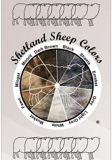 Shetland Sheep Color Wheel